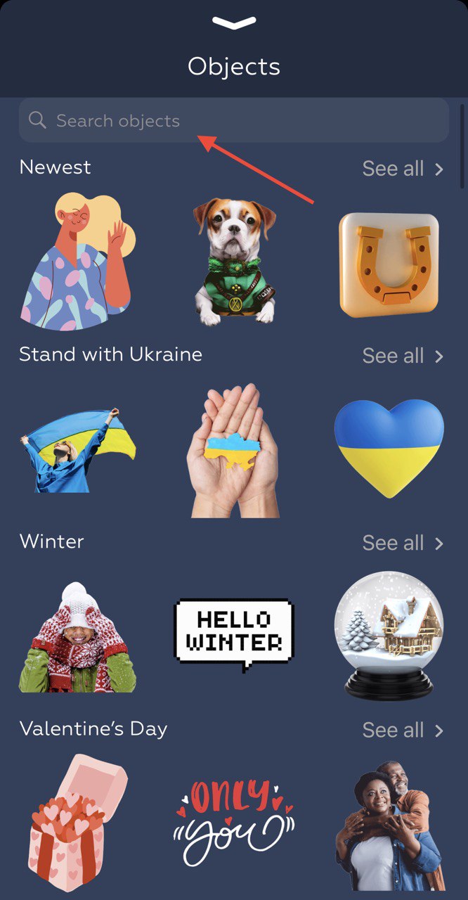 editing_options_in_app_screen_7.jpg